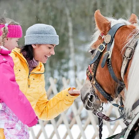 Hotel Scheffer's Altenmarkt im Pongau