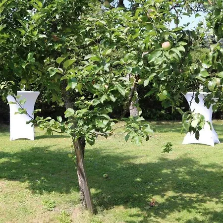 Scheffer's فندق التنماركت ام بوناغ