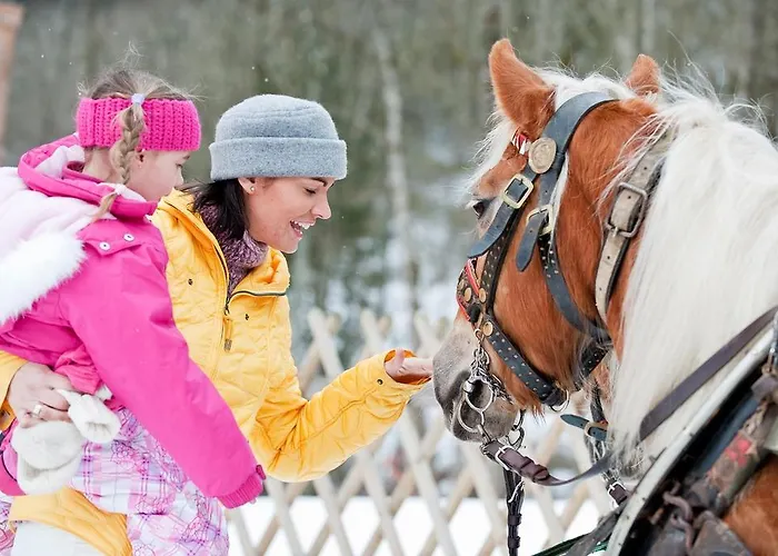 Hotel Scheffer's Altenmarkt im Pongau