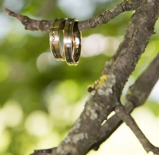 Scheffer's Szálloda Altenmarkt im Pongau