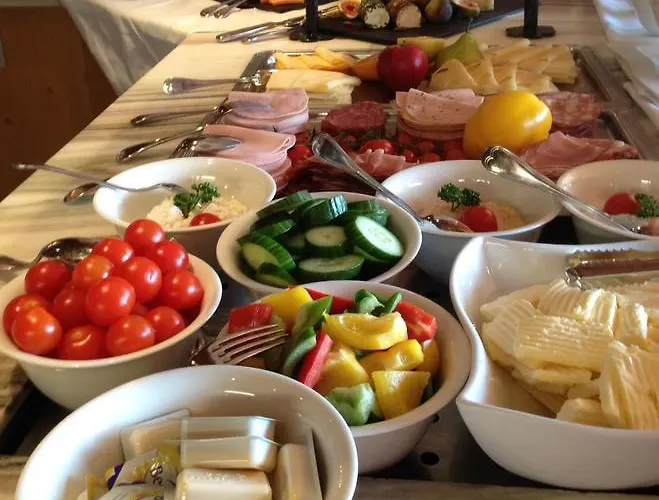 Scheffer's מלון אלטנמרקט אים פונגאו